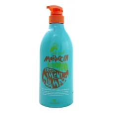 Mizon Шампунь для волос с маслом арганы Moroccan Blending Treatment Shampoo 750мл