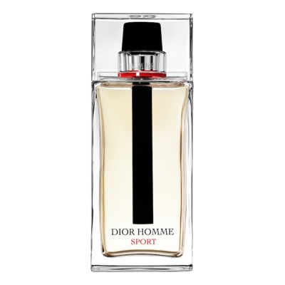 Купить Christian Dior Homme Sport 2017 в магазине Мята Молл